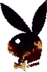 playboy